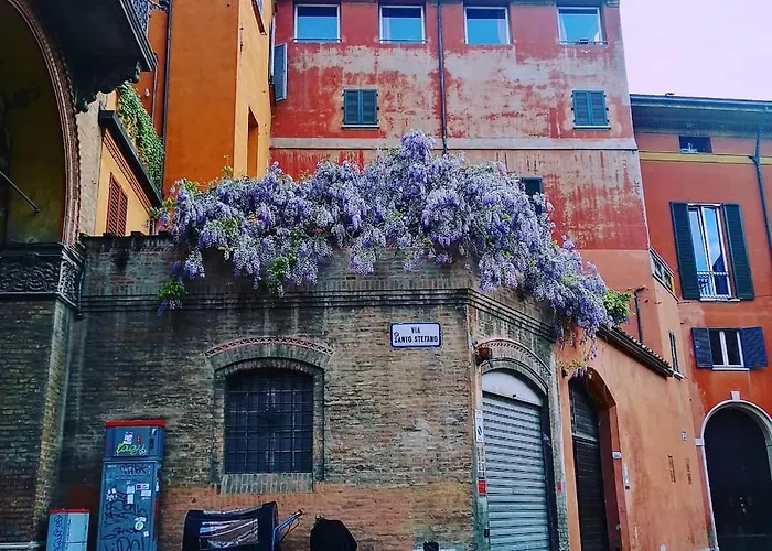 Casa Bonita, Nel Cuore Di *